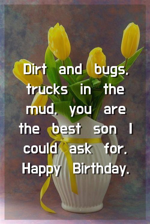 6th birthday wishes for son
